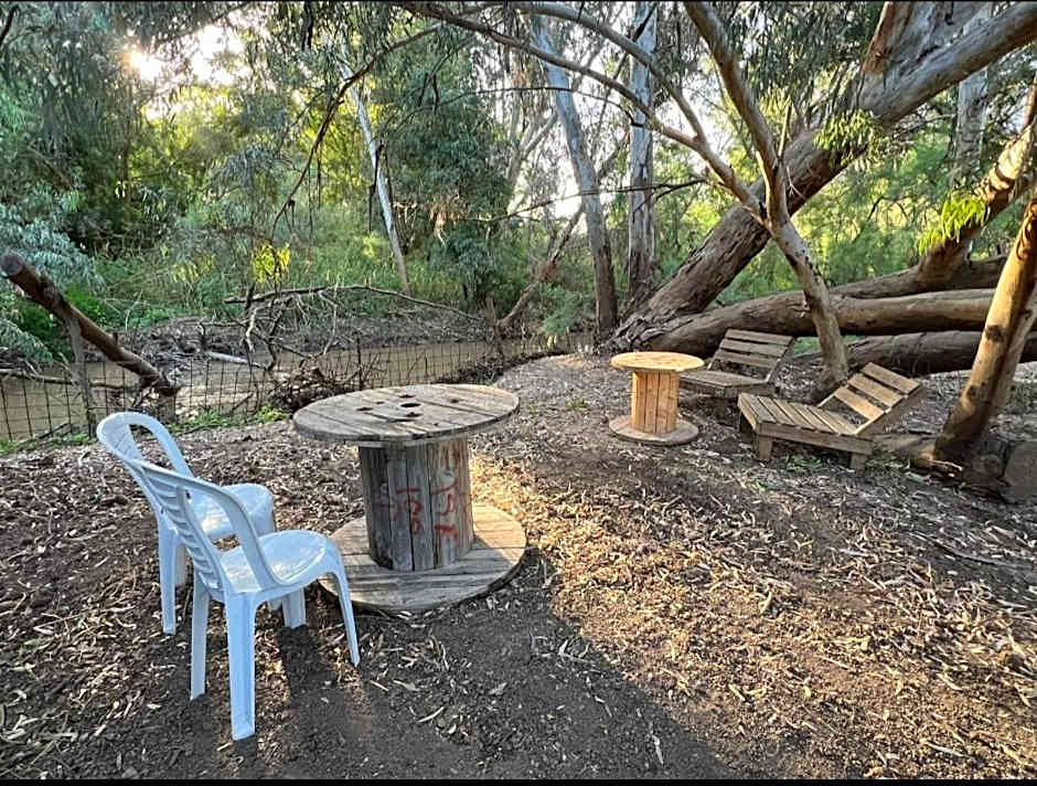 בוסתן החורש