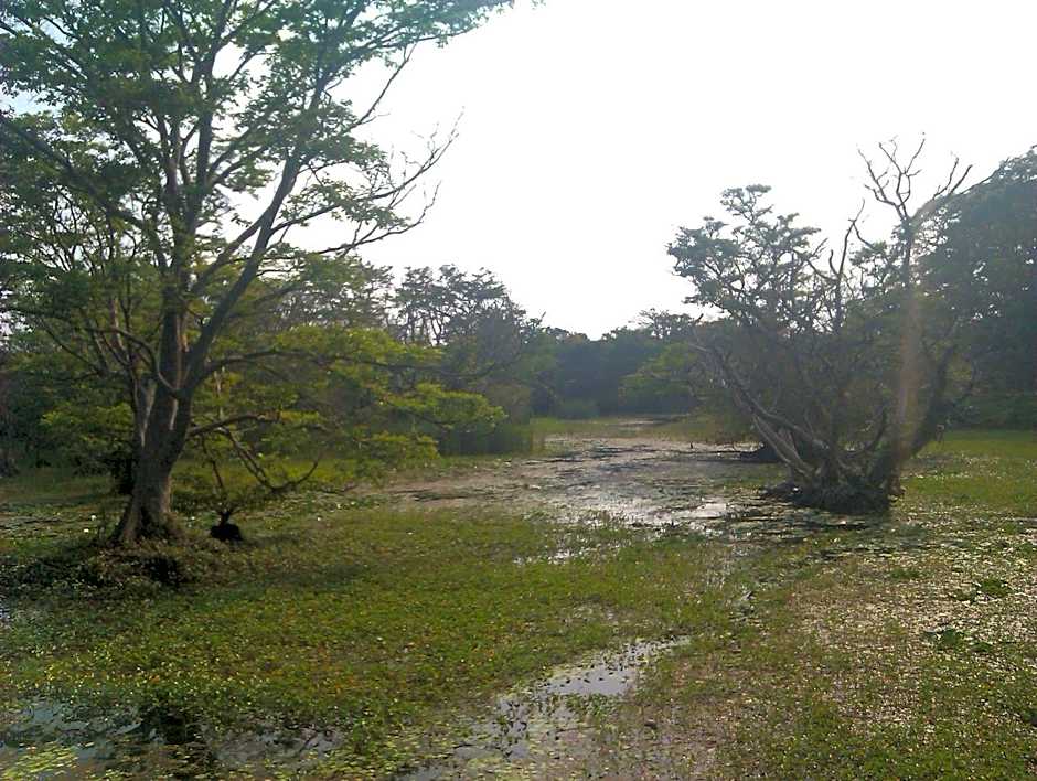 Eagle's Wings Guest House