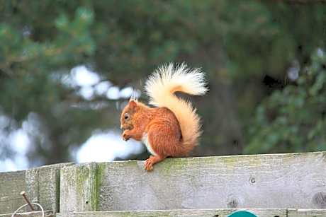 Twin Room with Private External Bathroom