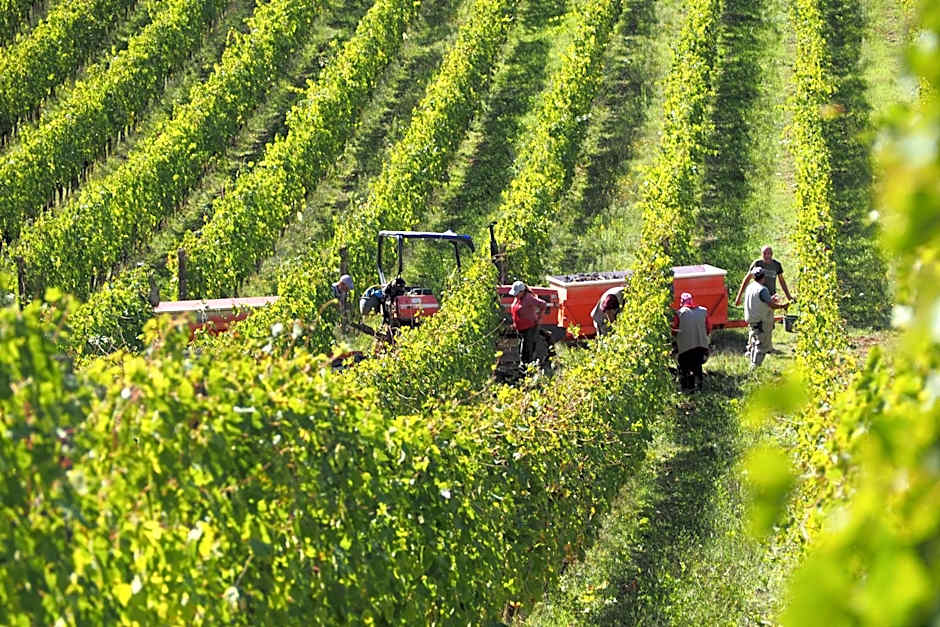 Borgo La Torre alle Tolfe