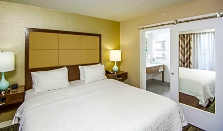 1 King Microwv/Fridge/Wet Bar Studio Suite Ns