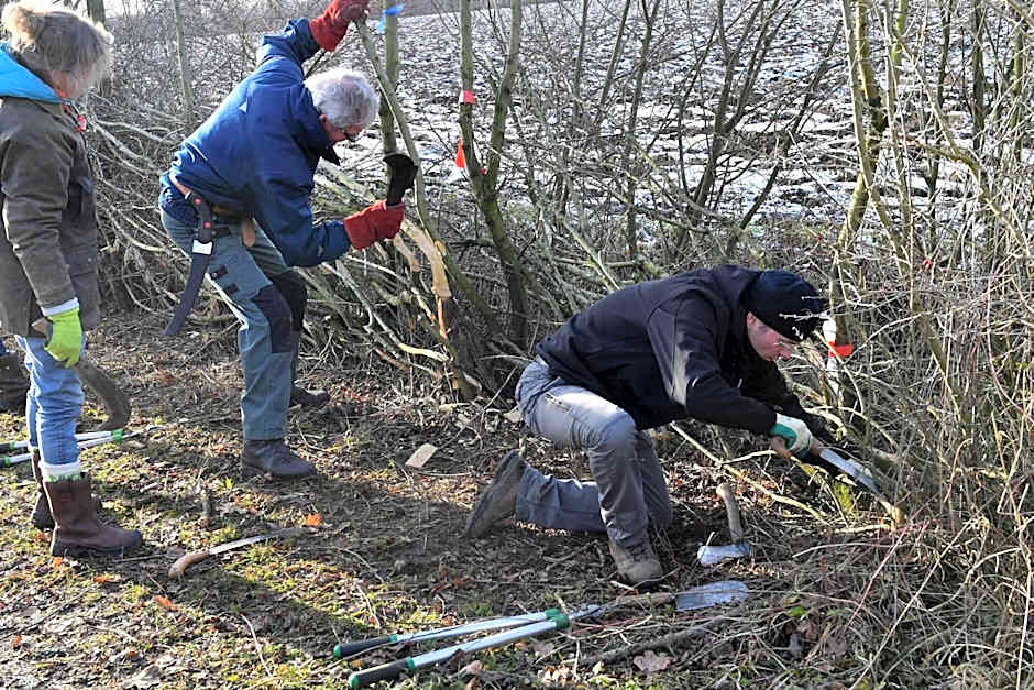 Langs De Maas