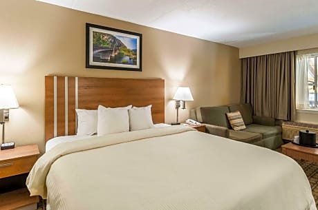 1 King Bed, Suite, Nonsmoking