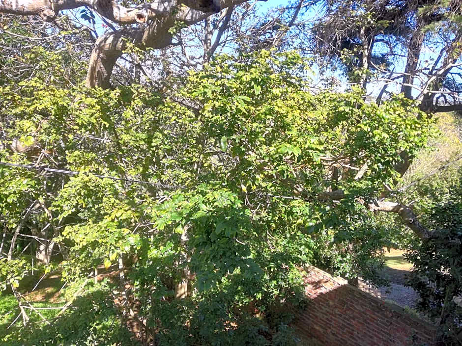Valley Guest House