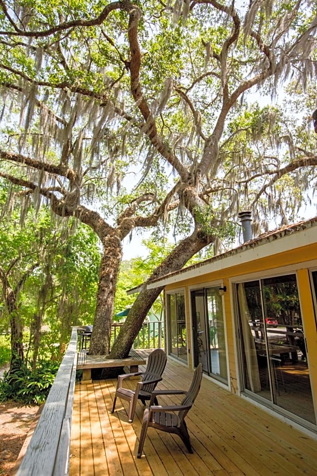 Riverfront Treetop Bungalow