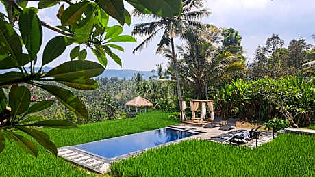 Bali De Pardis Cottage
