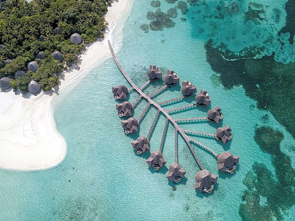 Coco Palm Dhuni Kolhu