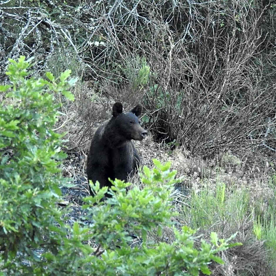Hotel rural La Campanona