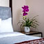 Mika Hotel