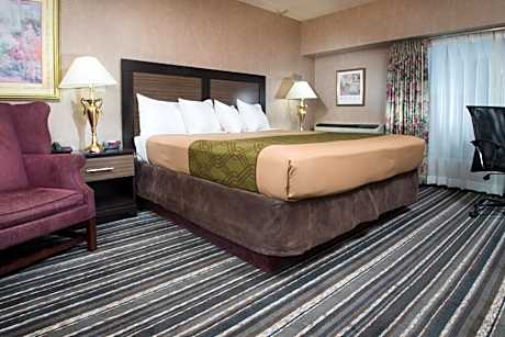 Suite with Spa Bath