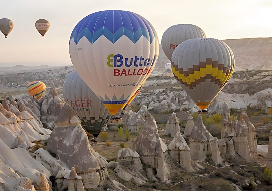 Noah's Ark Cave Hotel