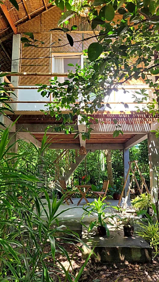 Lazy Lizard Hostel