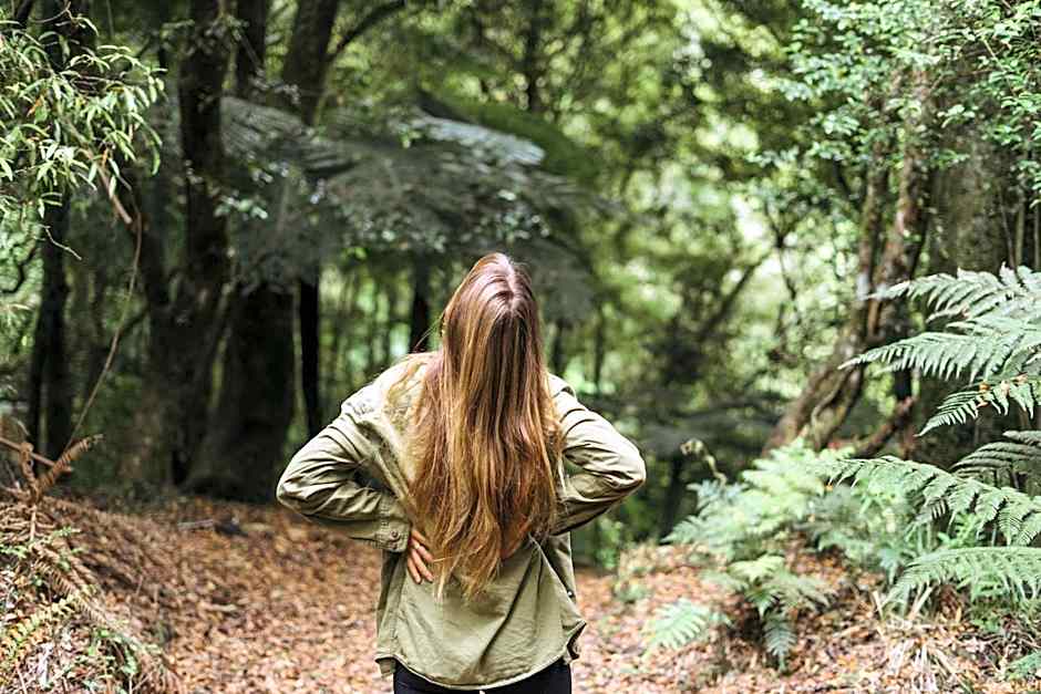 Treetops Lodge & Estate