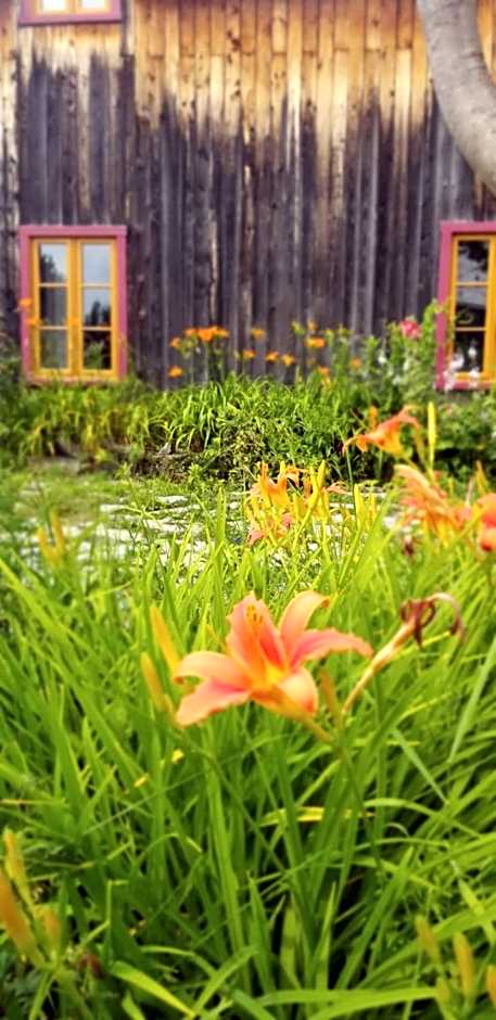 Auberge Le P'tit Bonheur