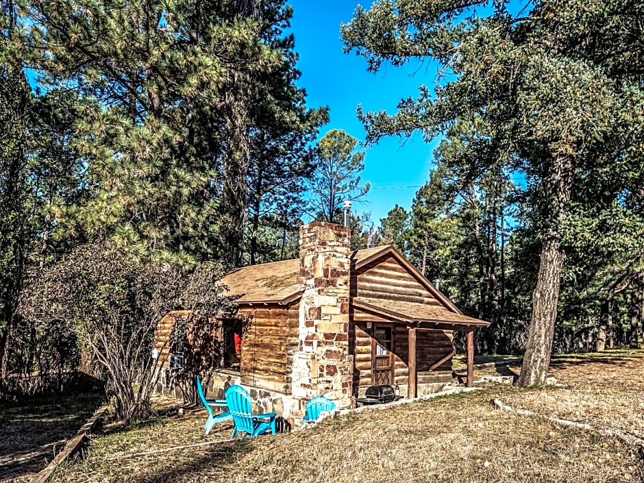 Destiny Cabin, 2 Bedrooms, Fireplace, Midtown, Sleeps 7