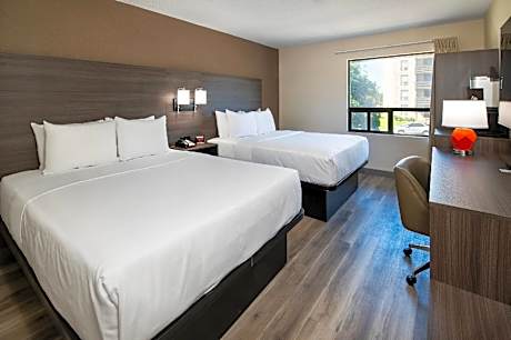 Queen Room with Two Queen Beds