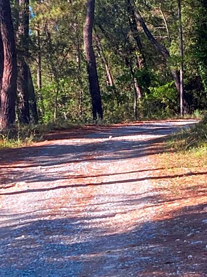 Idyllic French farmhouse