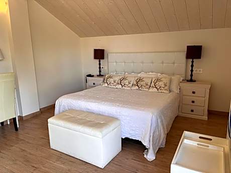 Deluxe Double or Twin Room with Garden View