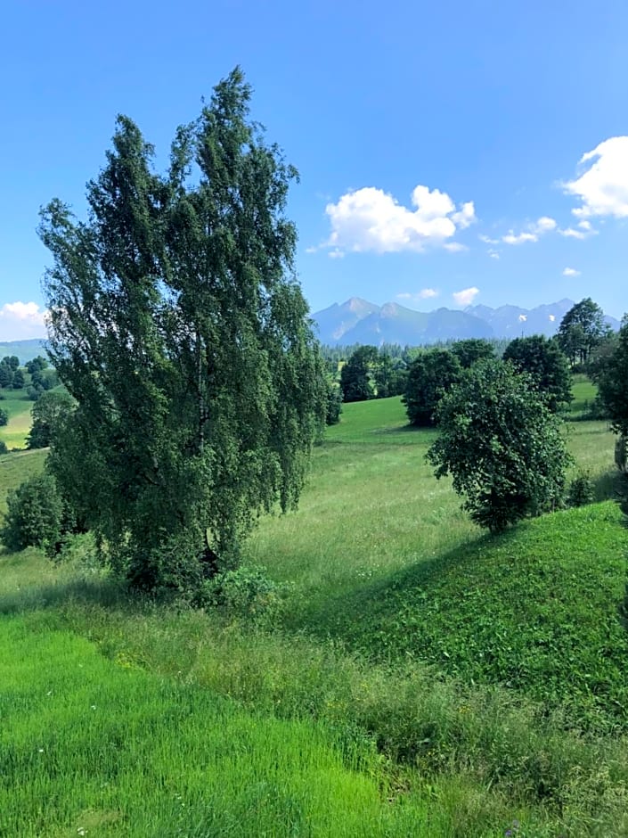 Siumno Izba B&B Brzegi