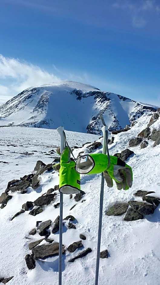 Bessheim Fjellstue og Hytter