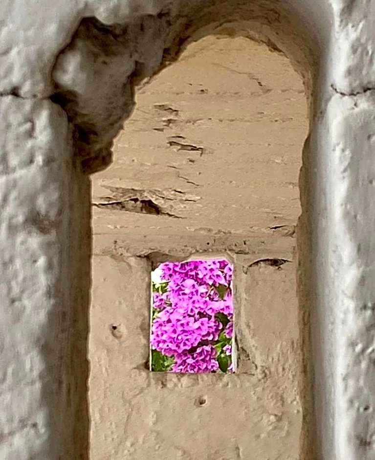 B&B Don Giovanni Monopoli