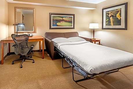 Junior King Suite with Sofa Bed