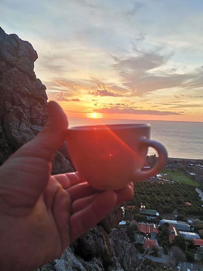 Village Garden Pansiyon