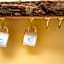 Social Stays - Santa Barbara's FIRST hostel on State Street