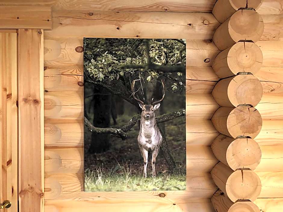 Boomstamhuis High Chaparral