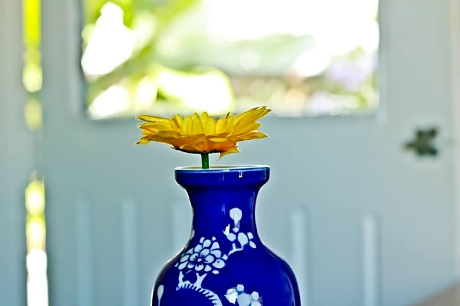 Casa Bossa Nova Guesthouse