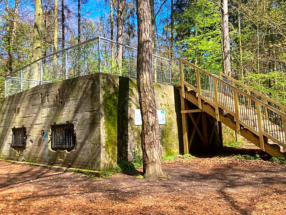 Radison Houses with a garden - Domki z ogródkiem Radison