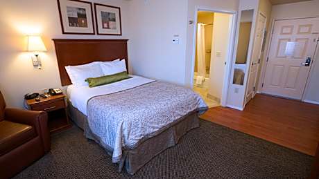 1 Queen Studio Suite