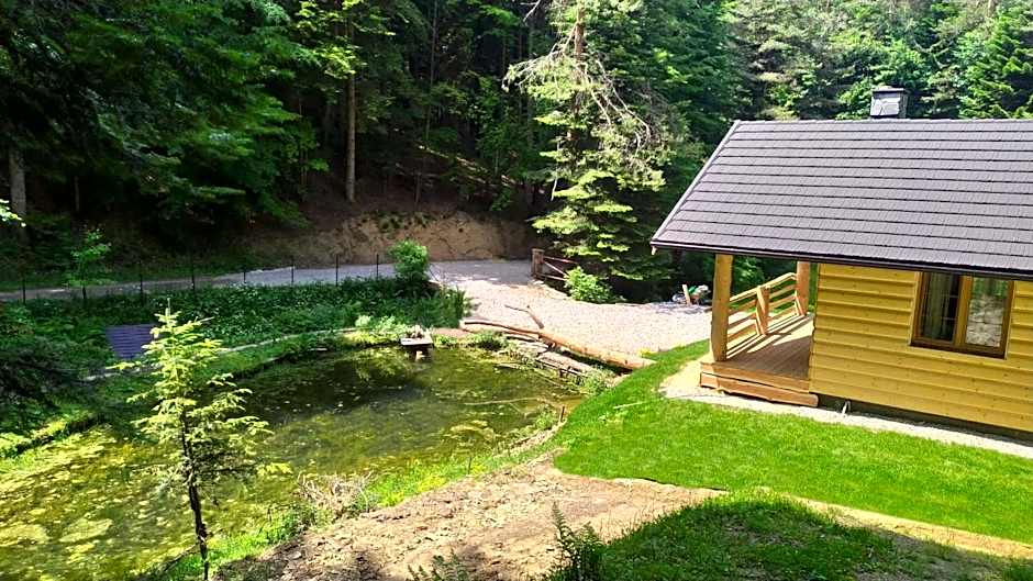 Bieszczady Domek Nad Stawem