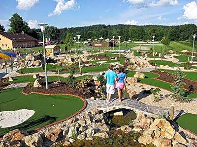 Záviš z Falkenštejna