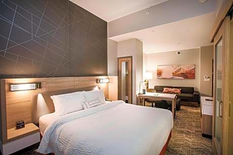 SpringHill Suites by Marriott Athens Downtown/University Area