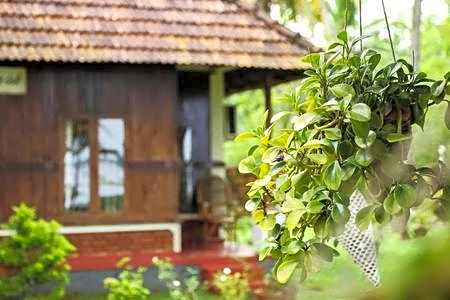 Lovedale Lakeside Homestay