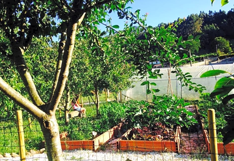 Madeinfofan Suite Rural con Jardín