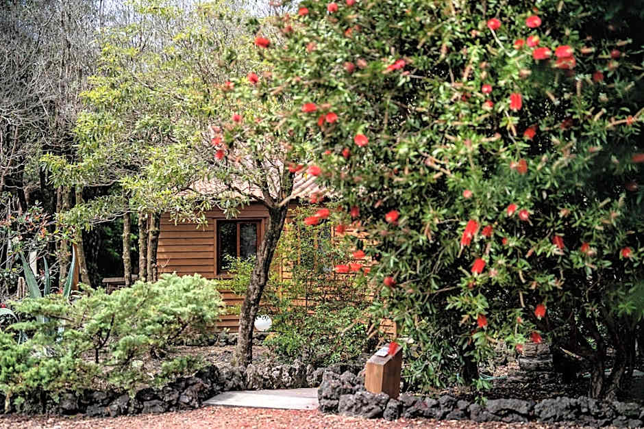 Alma do Pico - Nature Residence