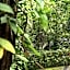 Wayanad Silverwoods Forest Resort and Spa