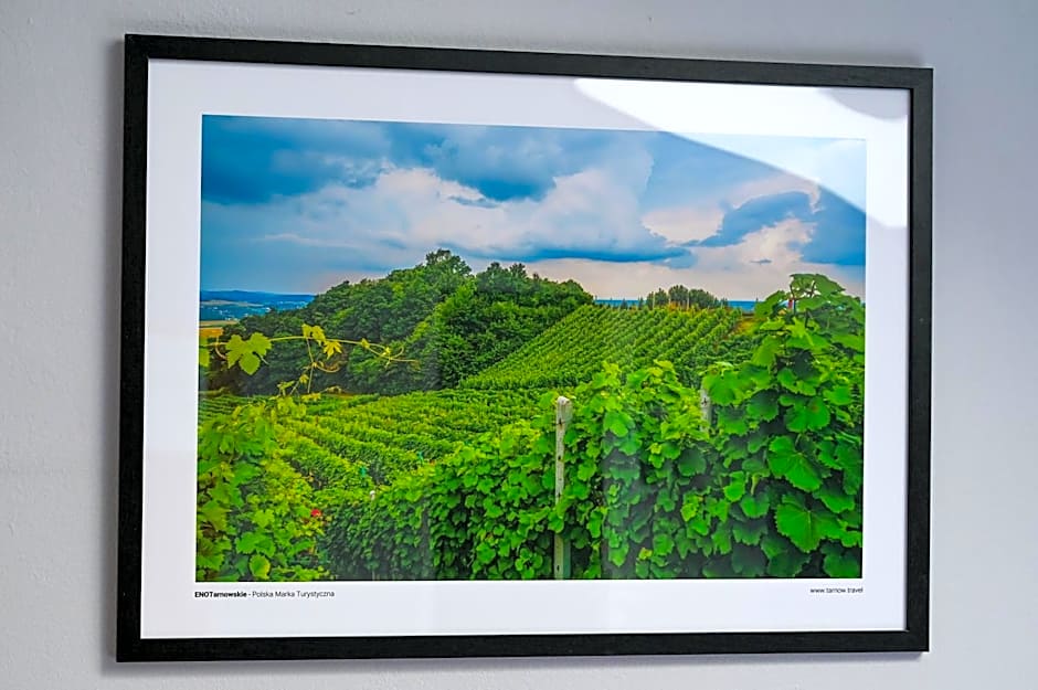 Tarnowskie Centrum Informacji