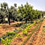 Hotel Rural Quinta do Marco - Nature & Dining