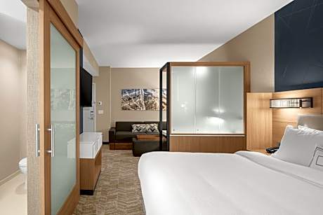 Studio, 1 King, Trundle bed