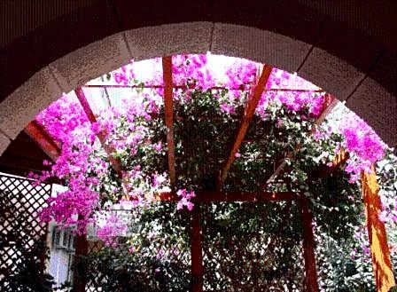 Summer Memories Aparthotel