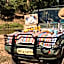 Kanha Jungle Camp