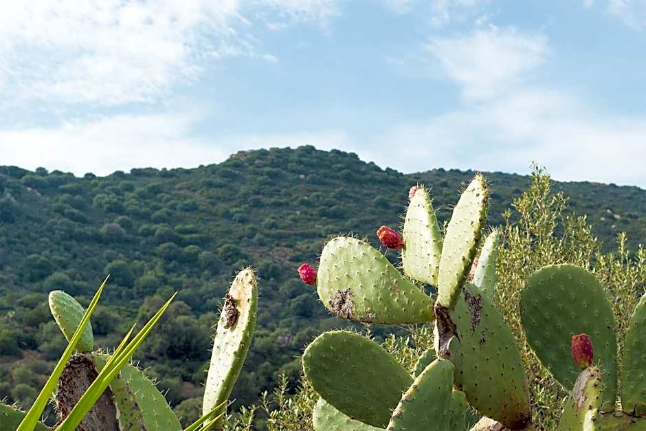 Sa Guardia de Ferricci