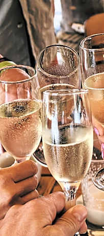 Ursa Mica Glamping Resort