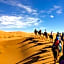 Desert Camel Trekking Camp