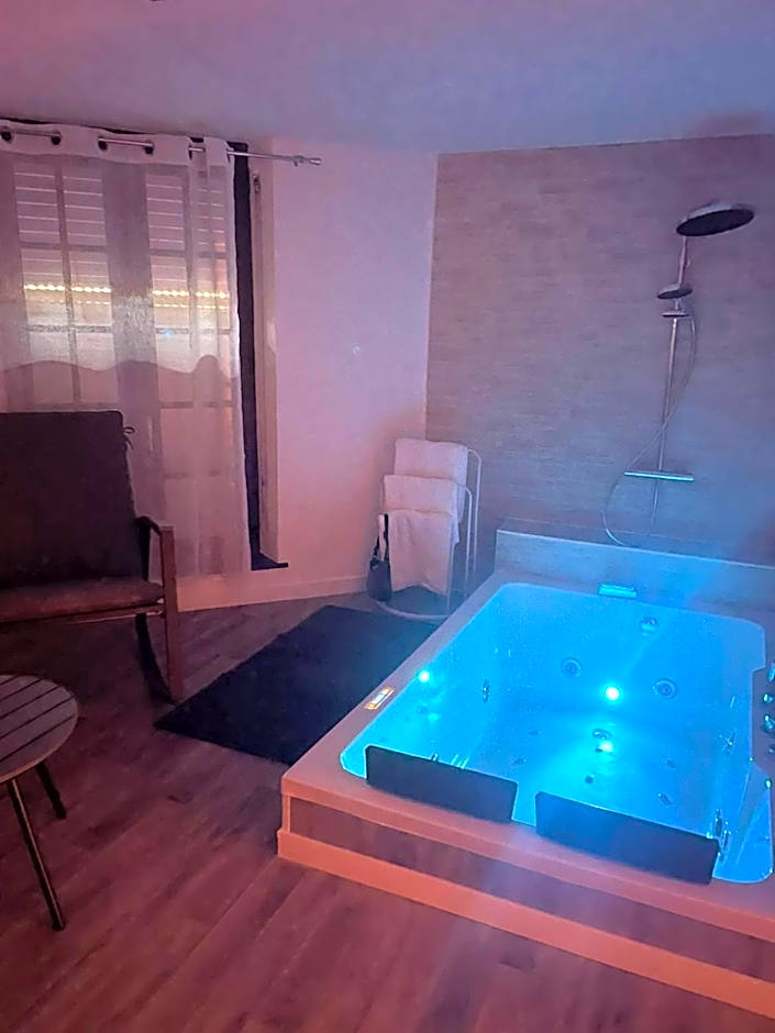 Magnifique Loft 35m2 Jacuzzi RVB NIGHT 1