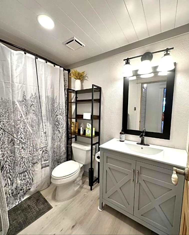 Remodeled Ski in and ski out Condo!