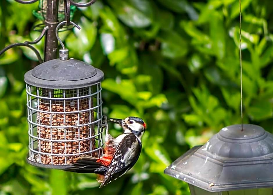 Pretty Maid House B&B